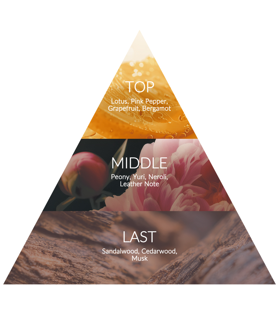 TOP:Lotus, Pink Pepper, Grapefruit, Bergamot. MIDDLE:Peony, Yuri, Neroli, Leather Note. LAST:Sandalwood, Cedarwood, Musk