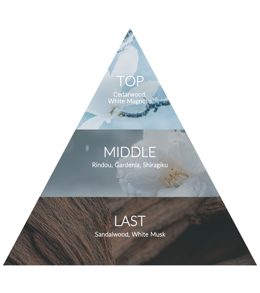 TOP:Cedarwood, White Magnolia. MIDDLE:Rindou, Gardenia, Shiragiku. LAST:Sandalwood, White Musk